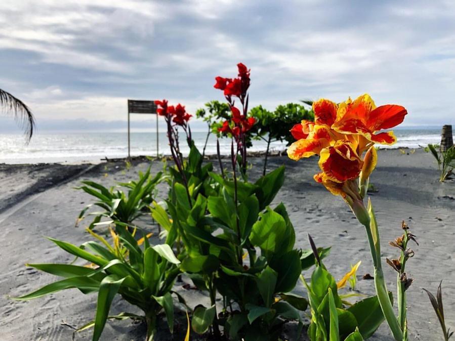Seaside Garden Ecolodge Mompiche ภายนอก รูปภาพ