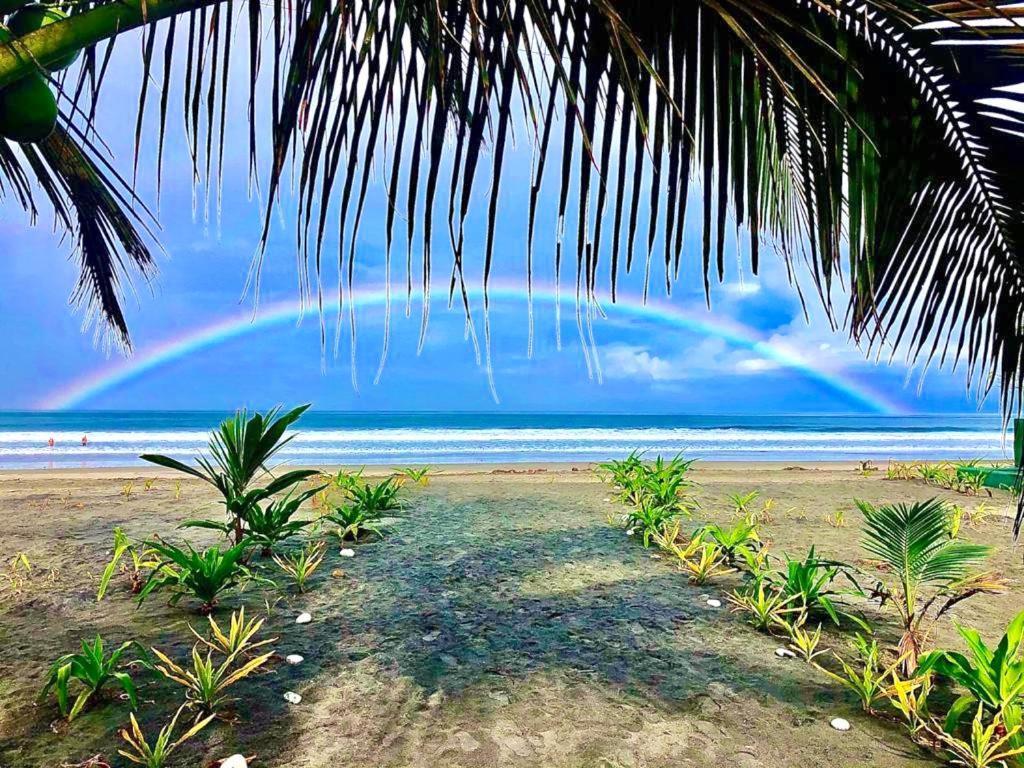 Seaside Garden Ecolodge Mompiche ภายนอก รูปภาพ