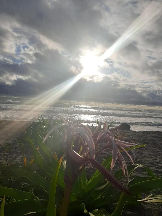 Seaside Garden Ecolodge Mompiche ภายนอก รูปภาพ