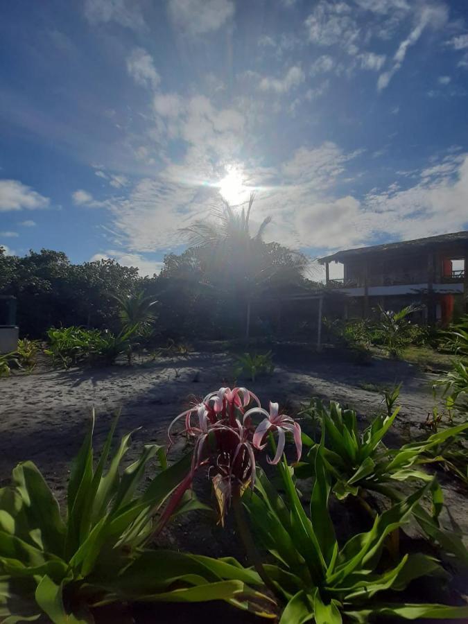 Seaside Garden Ecolodge Mompiche ภายนอก รูปภาพ
