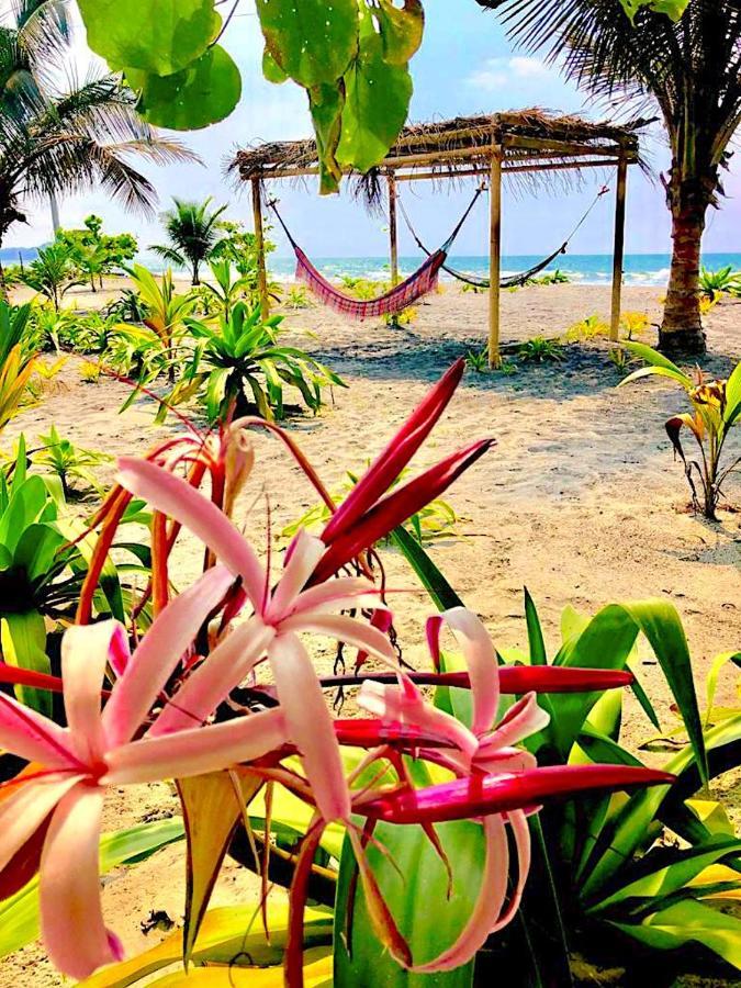 Seaside Garden Ecolodge Mompiche ภายนอก รูปภาพ