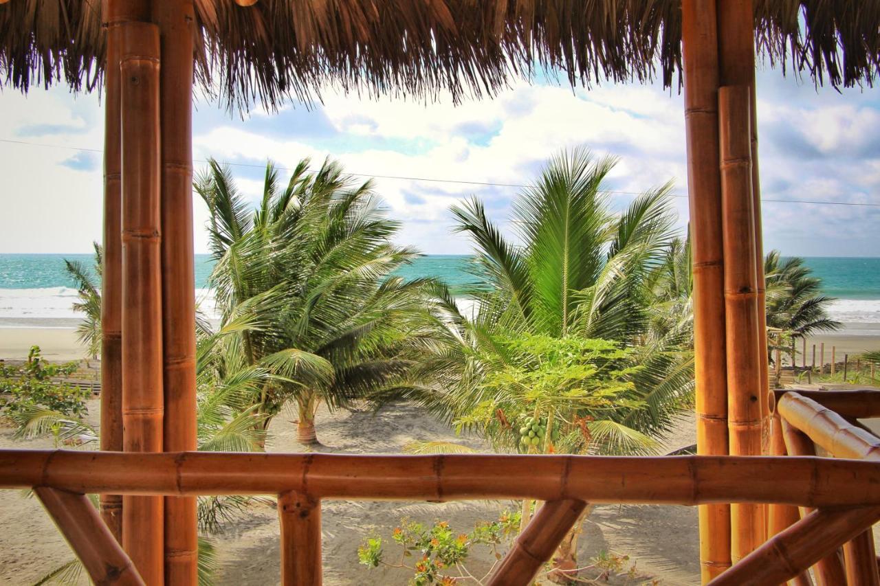 Seaside Garden Ecolodge Mompiche ภายนอก รูปภาพ